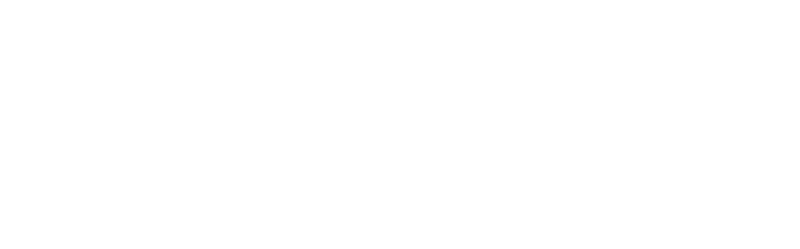 pinnacle financial partners white